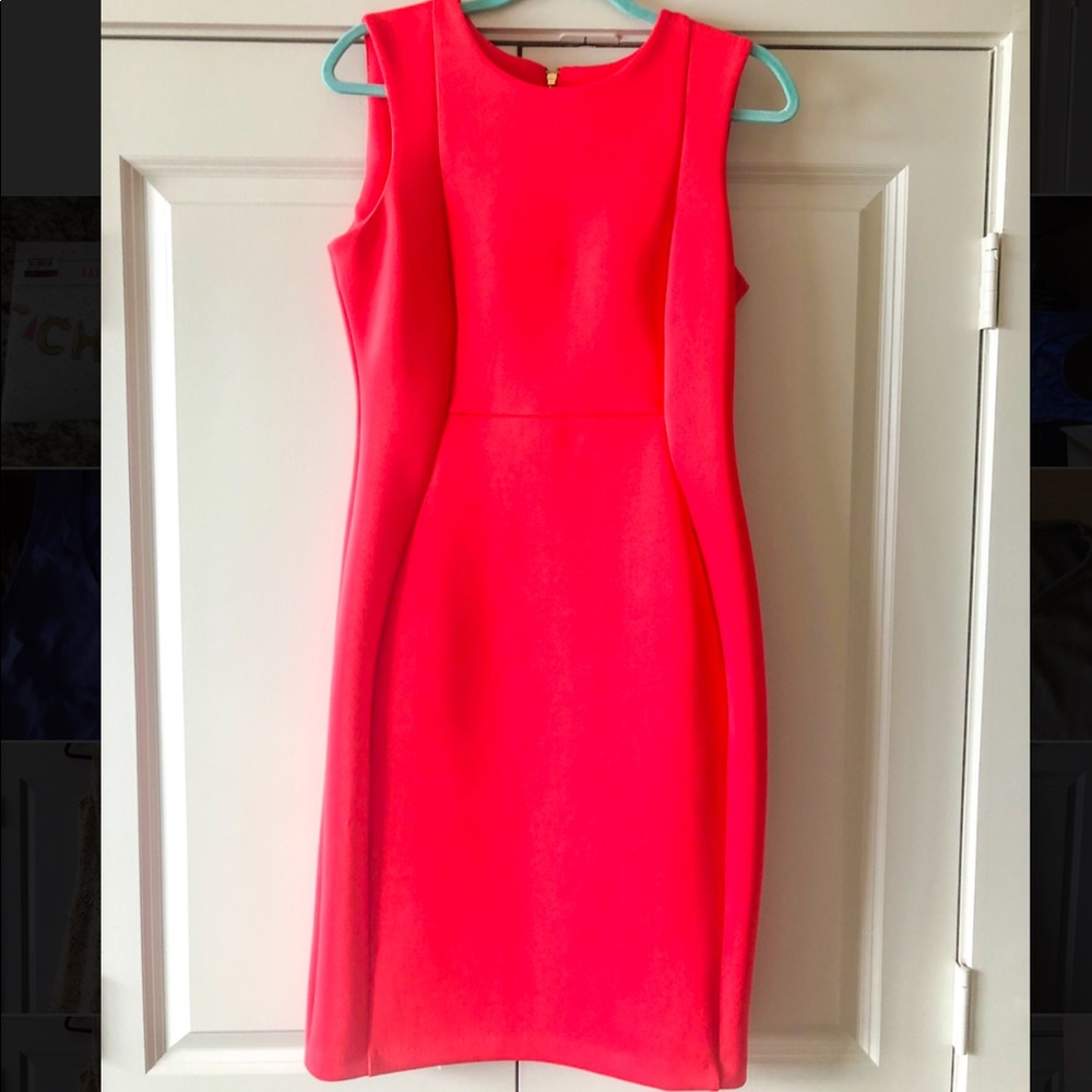Calvin Klein Professional Dress - Size 10